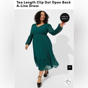 Torrid clip dot dress
